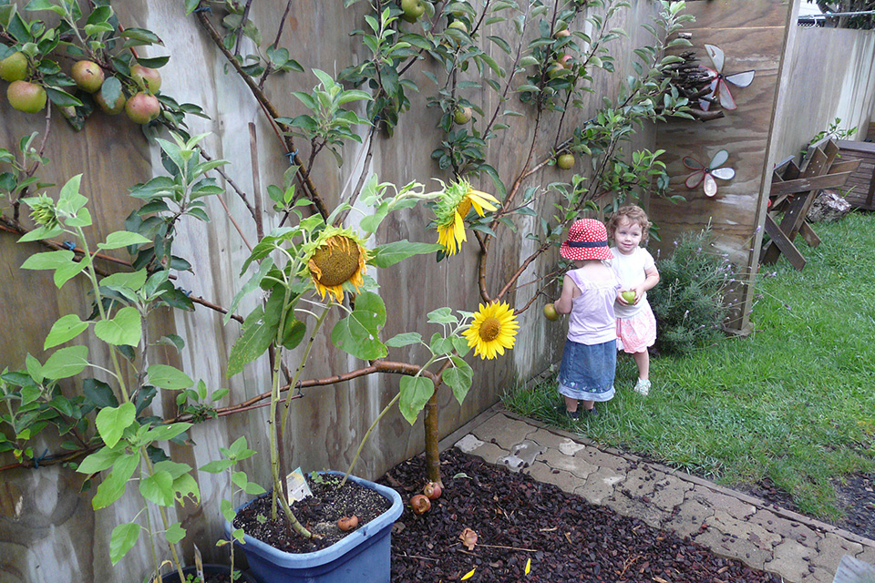 picking-apples-1-March-16-032